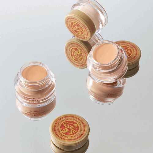 [Skinfood] Renewal Salmon Dark Circle Concealer Cream 100g