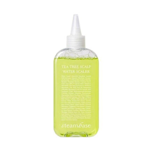 스팀베이스 티트리 스칼프 워터 스케일러 250ml, 1개