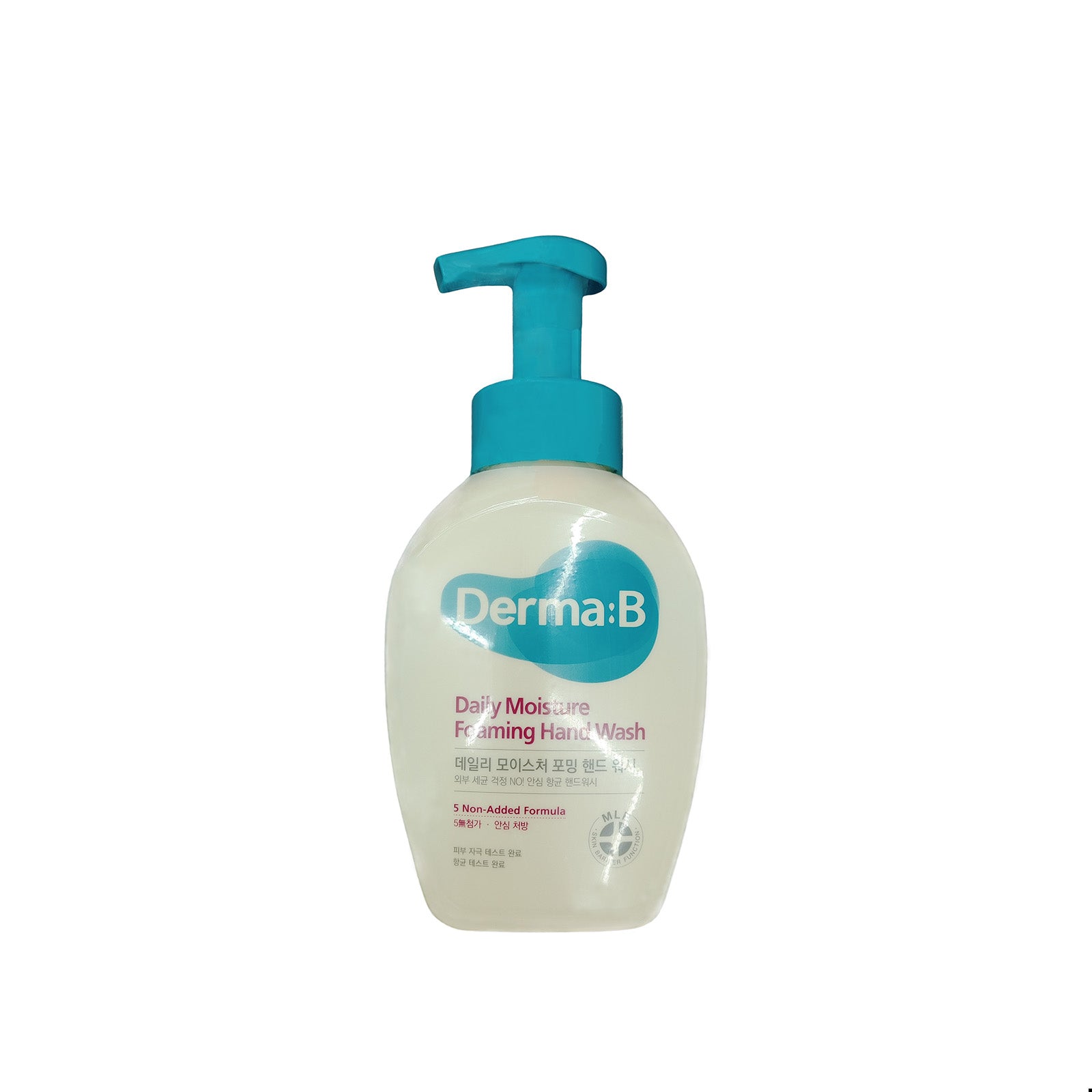 네오팜 더마비 데일리 모이스처 포밍 핸드 워시 바닐라향, 500ml, 2개