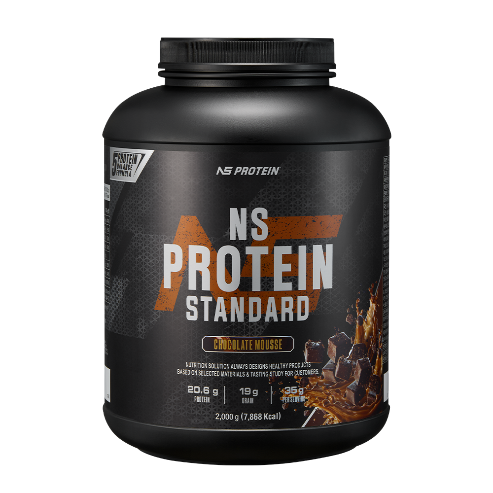 [NS 프로틴스탠다드 초콜릿무스 450g 1+1]