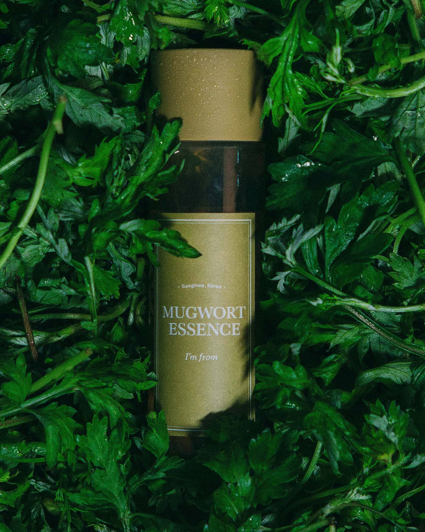 I'm from Mugwort Essence 200ml