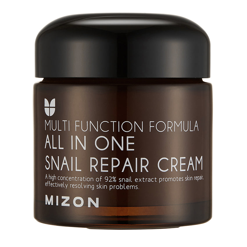Mizon All In One Snail Repair Cream 90ml (1pc)