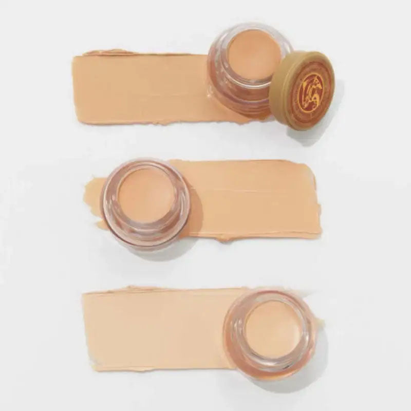 [Skinfood] Renewal Salmon Dark Circle Concealer Cream 100g